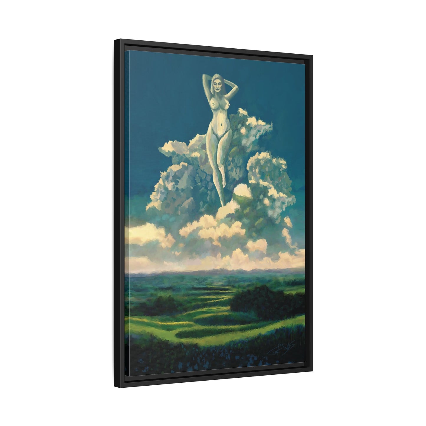 "Sky Dancer" Framed canvas