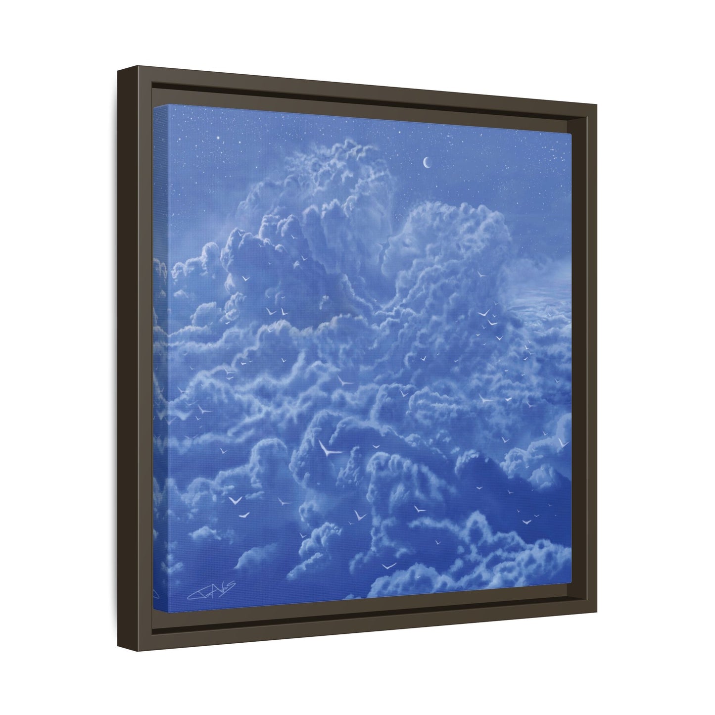 "Sky High" Framed canvas