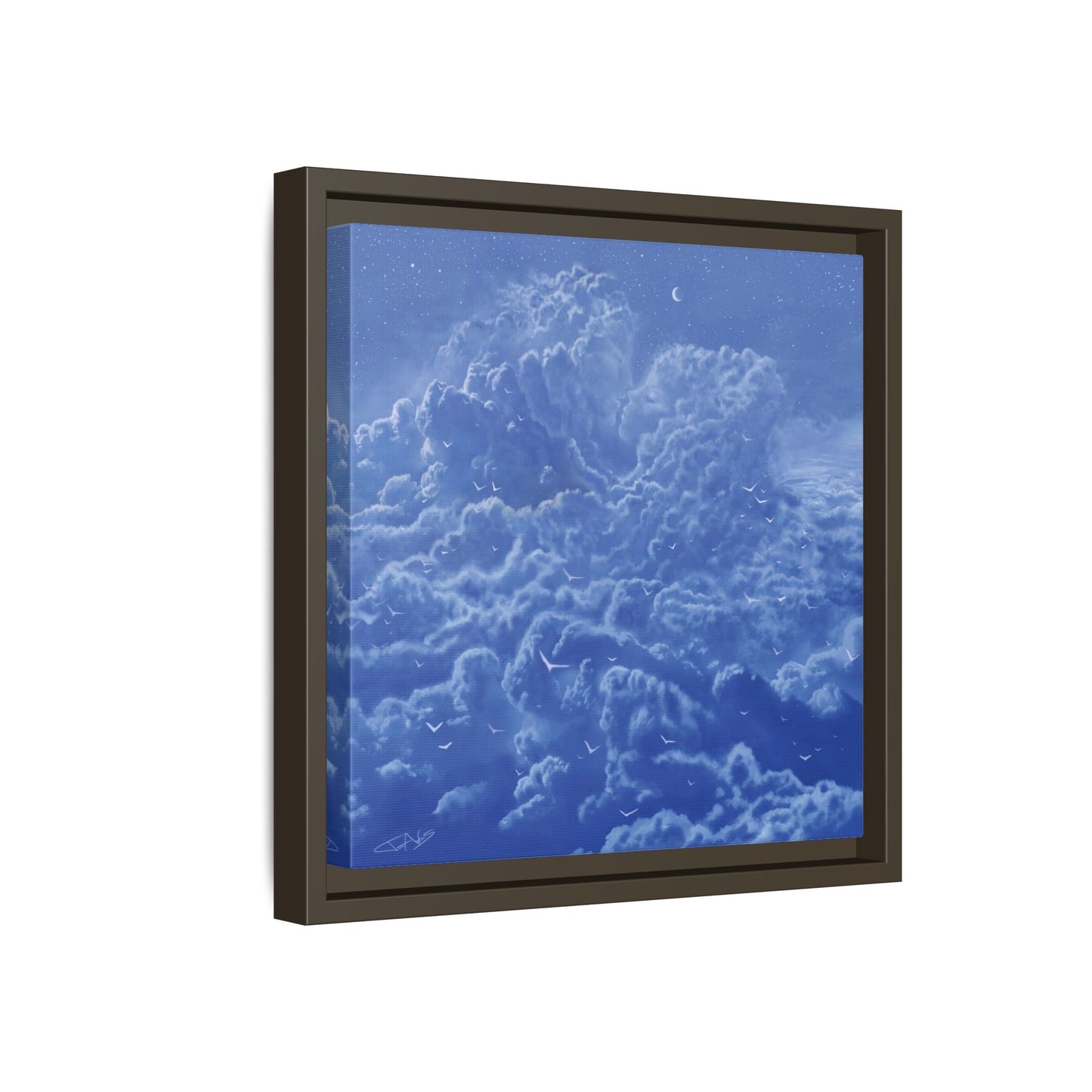 "Sky High" Framed canvas