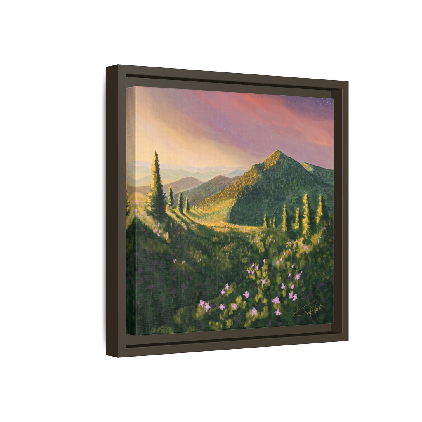 "Path of Light" Framed canvas