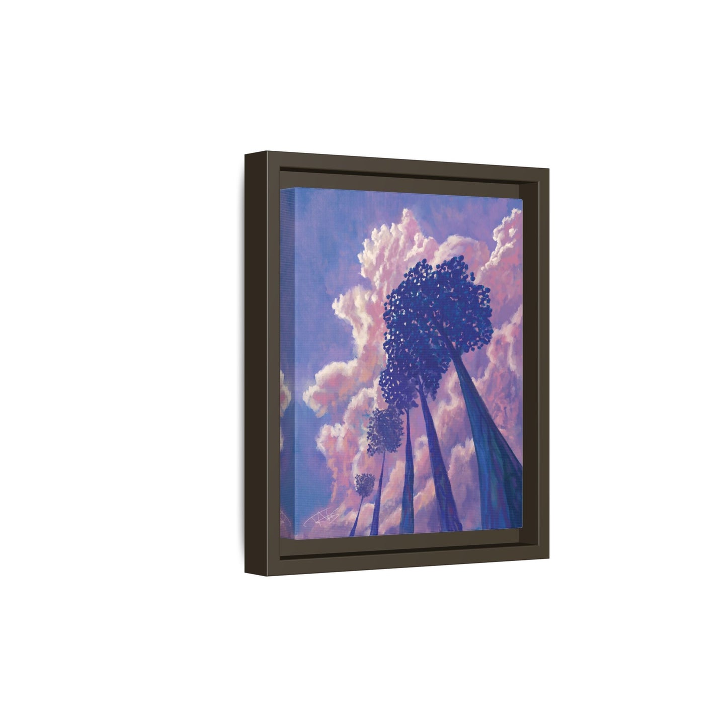 "Skyward" Framed canvas