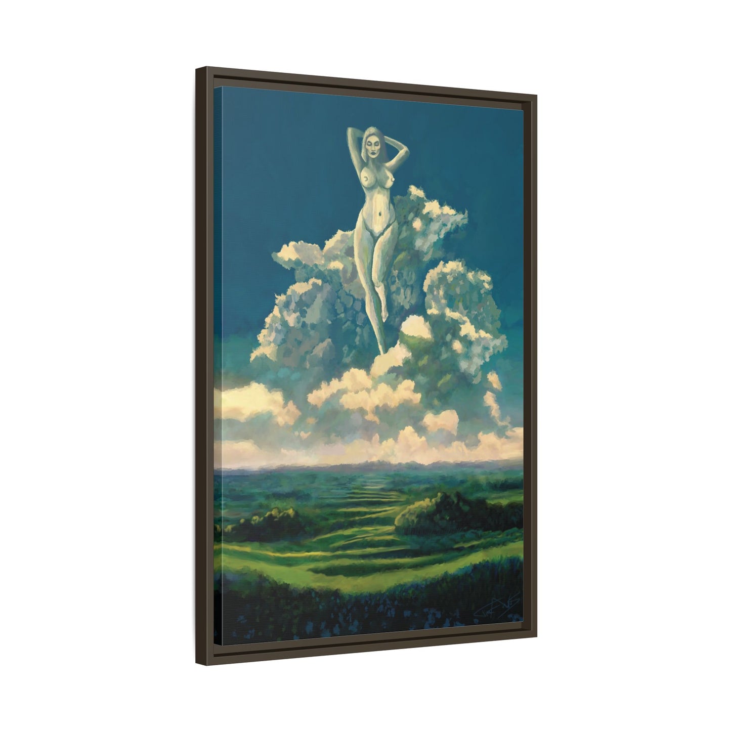 "Sky Dancer" Framed canvas