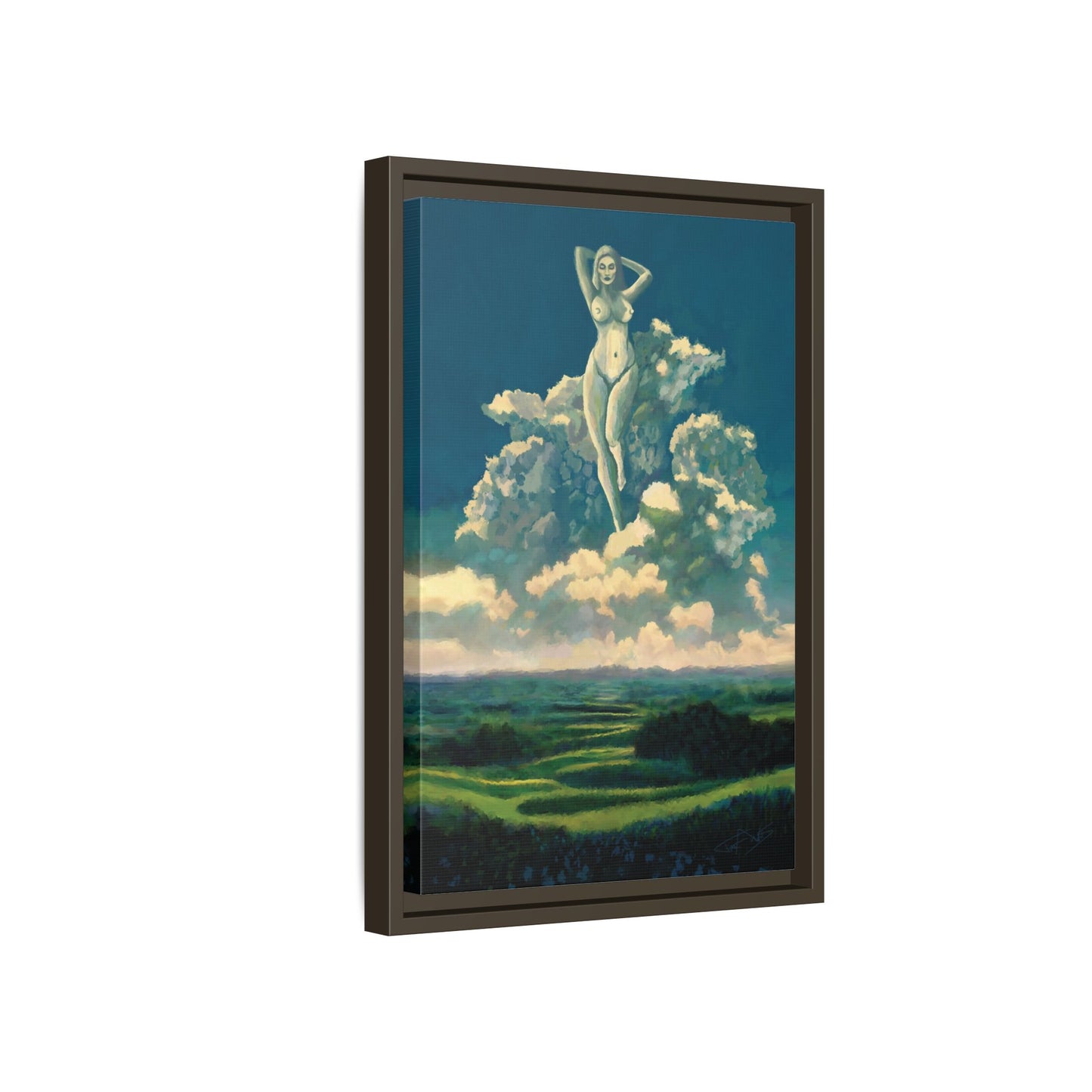 "Sky Dancer" Framed canvas