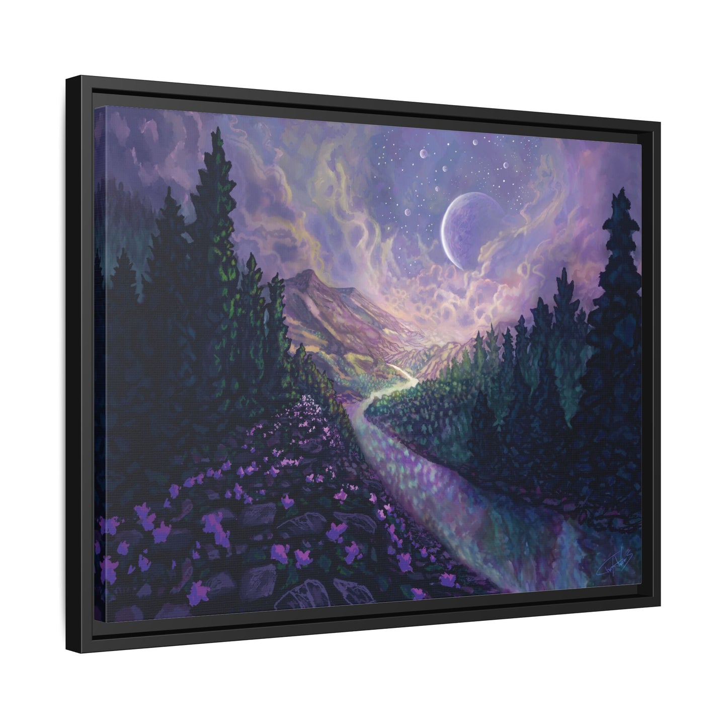 "Stella Nox" Framed canvas