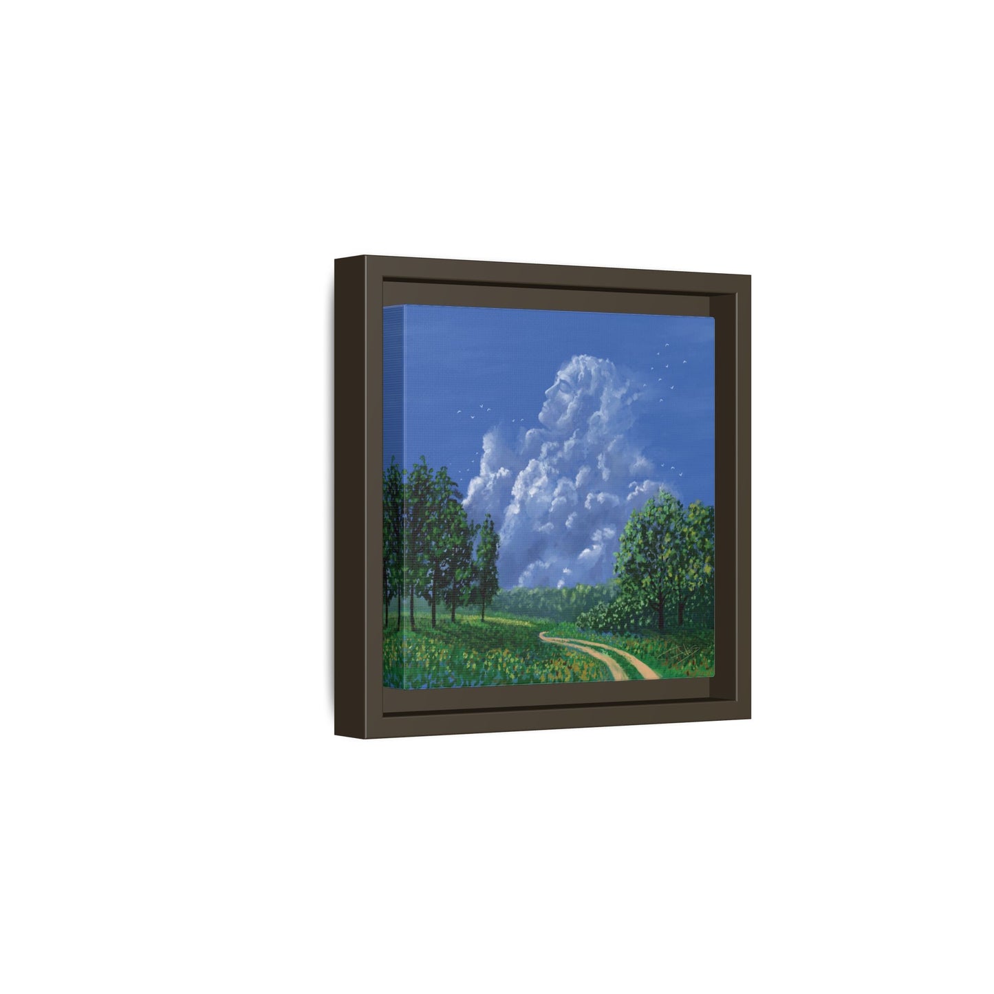 "Man in the Clouds" Framed canvas