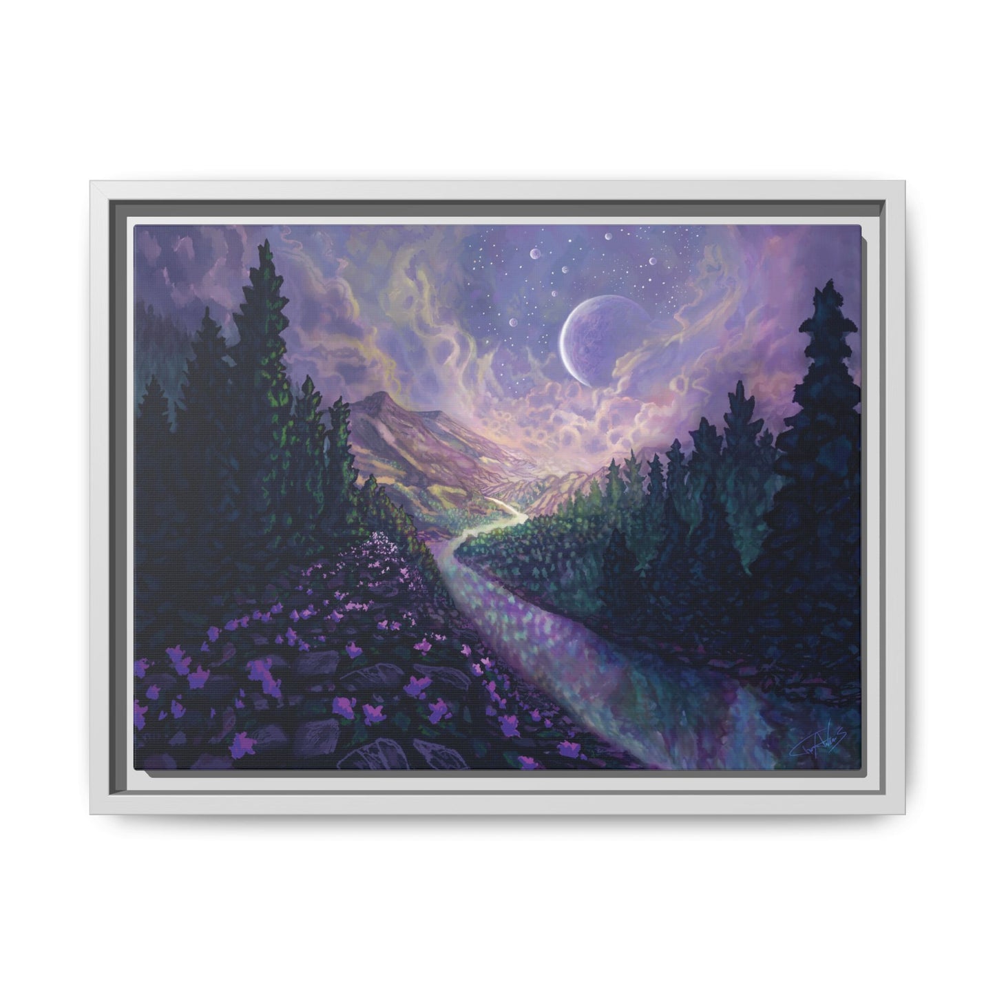 "Stella Nox" Framed canvas