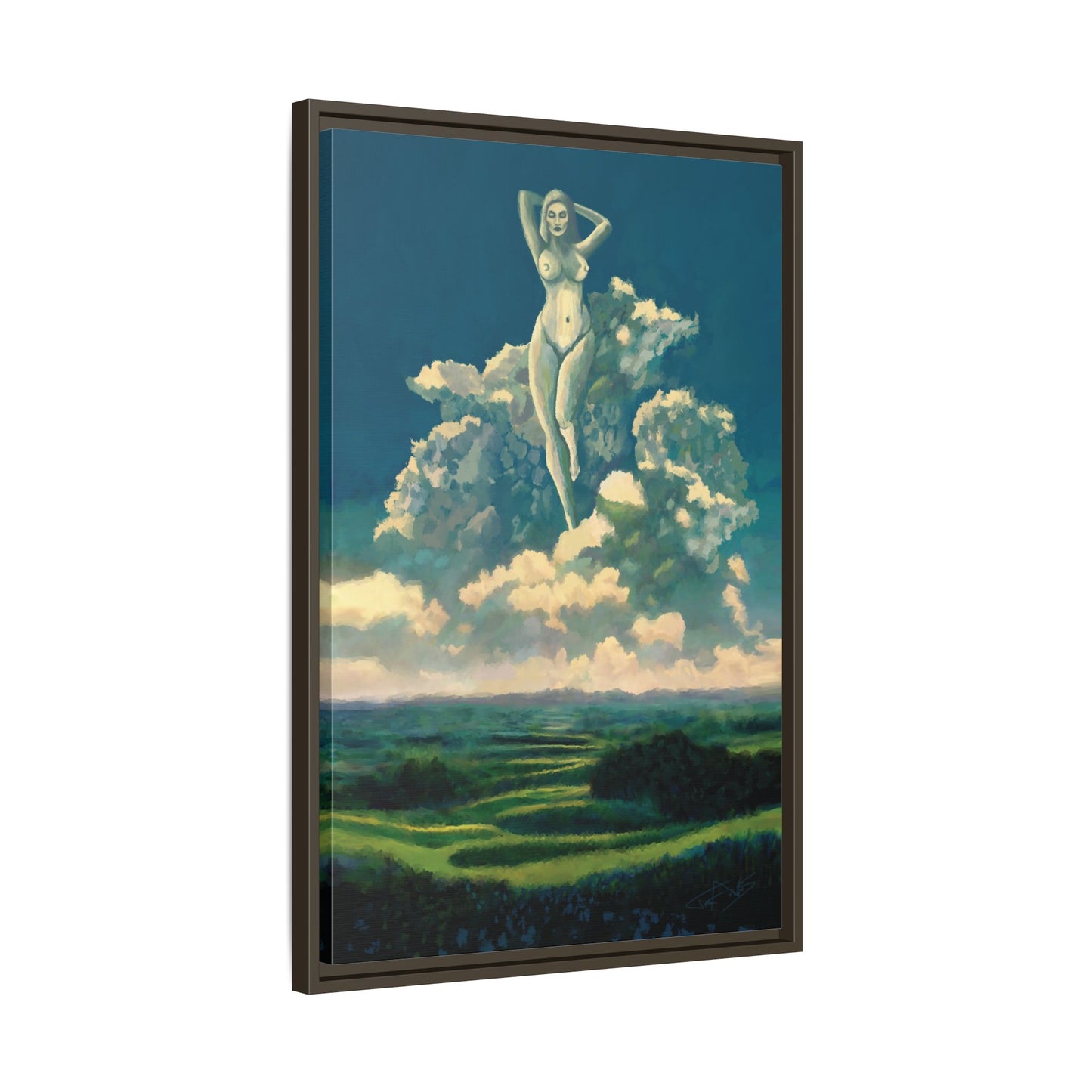 "Sky Dancer" Framed canvas