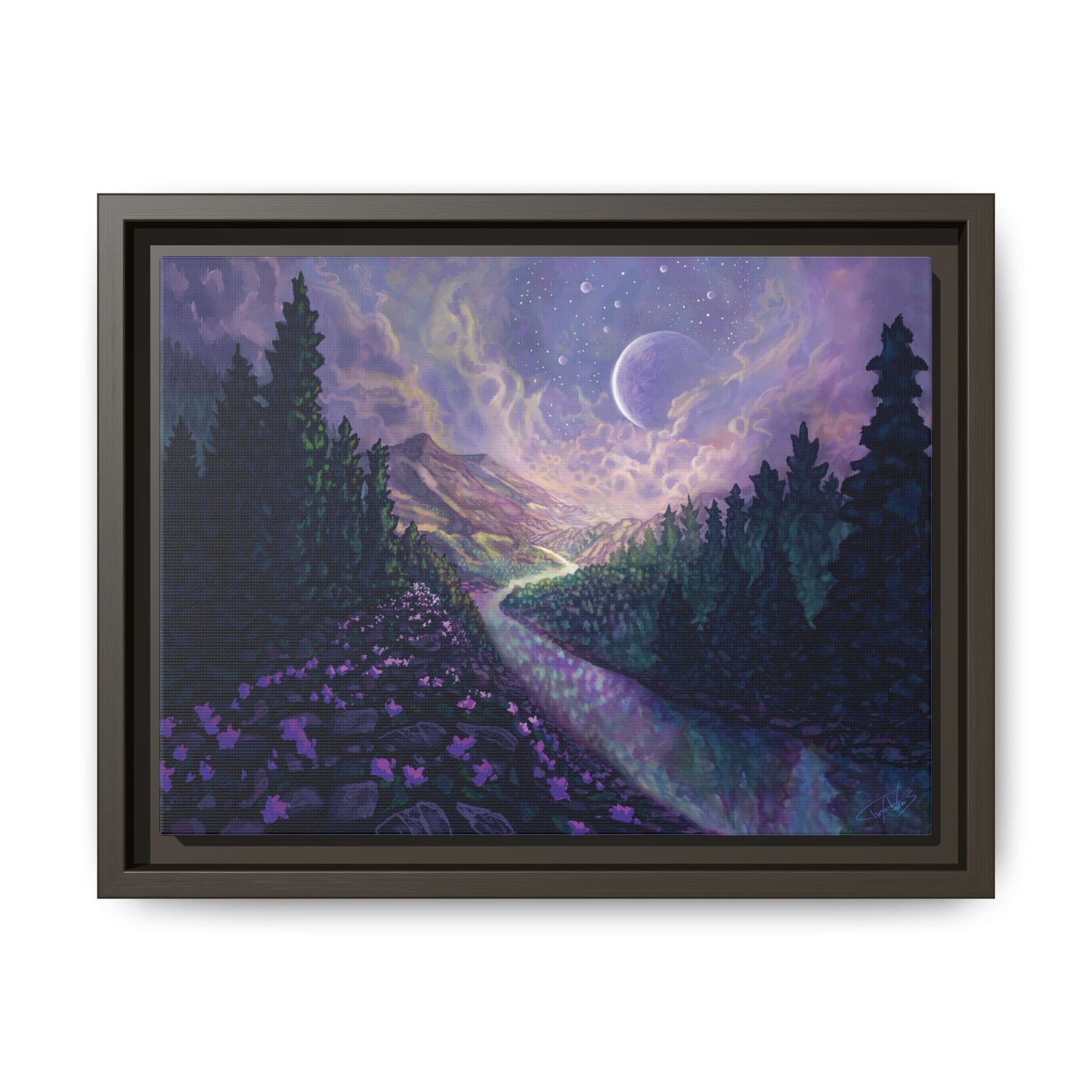 "Stella Nox" Framed canvas