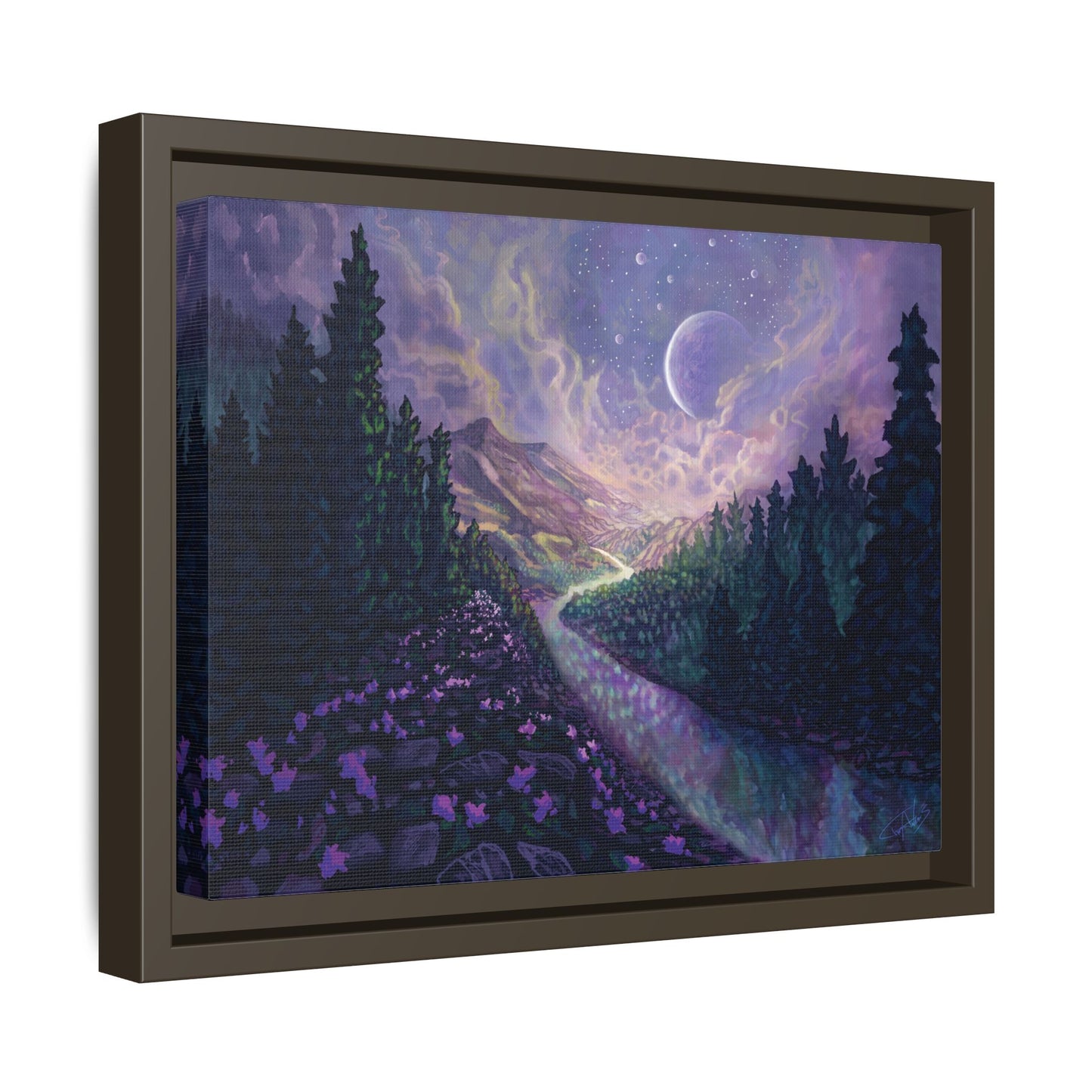 "Stella Nox" Framed canvas