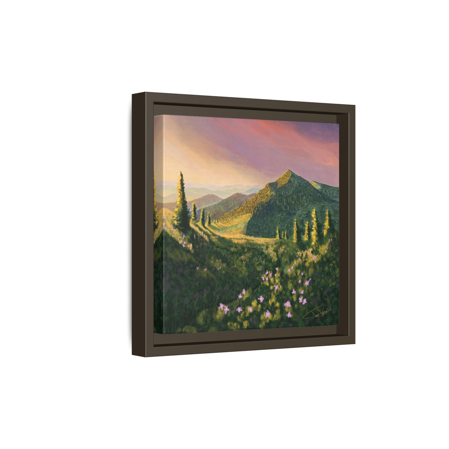 "Path of Light" Framed canvas