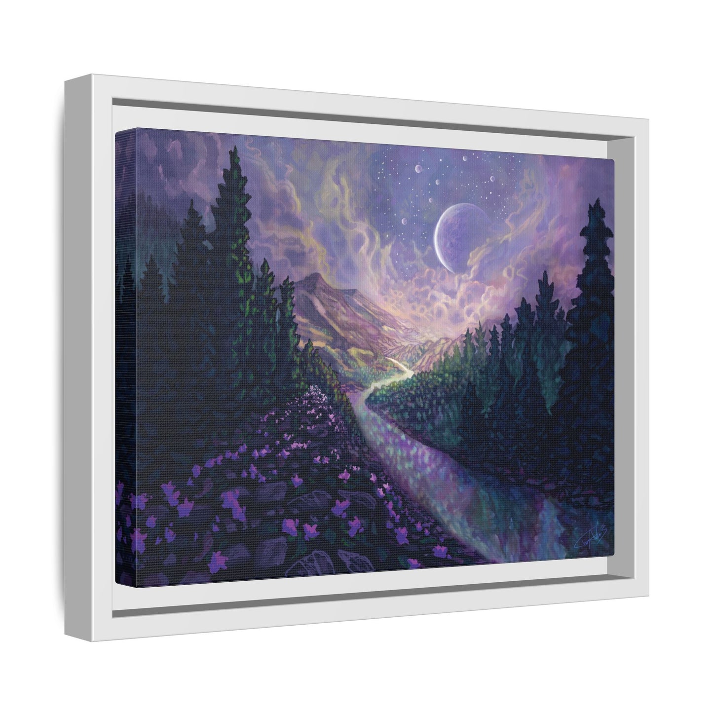 "Stella Nox" Framed canvas