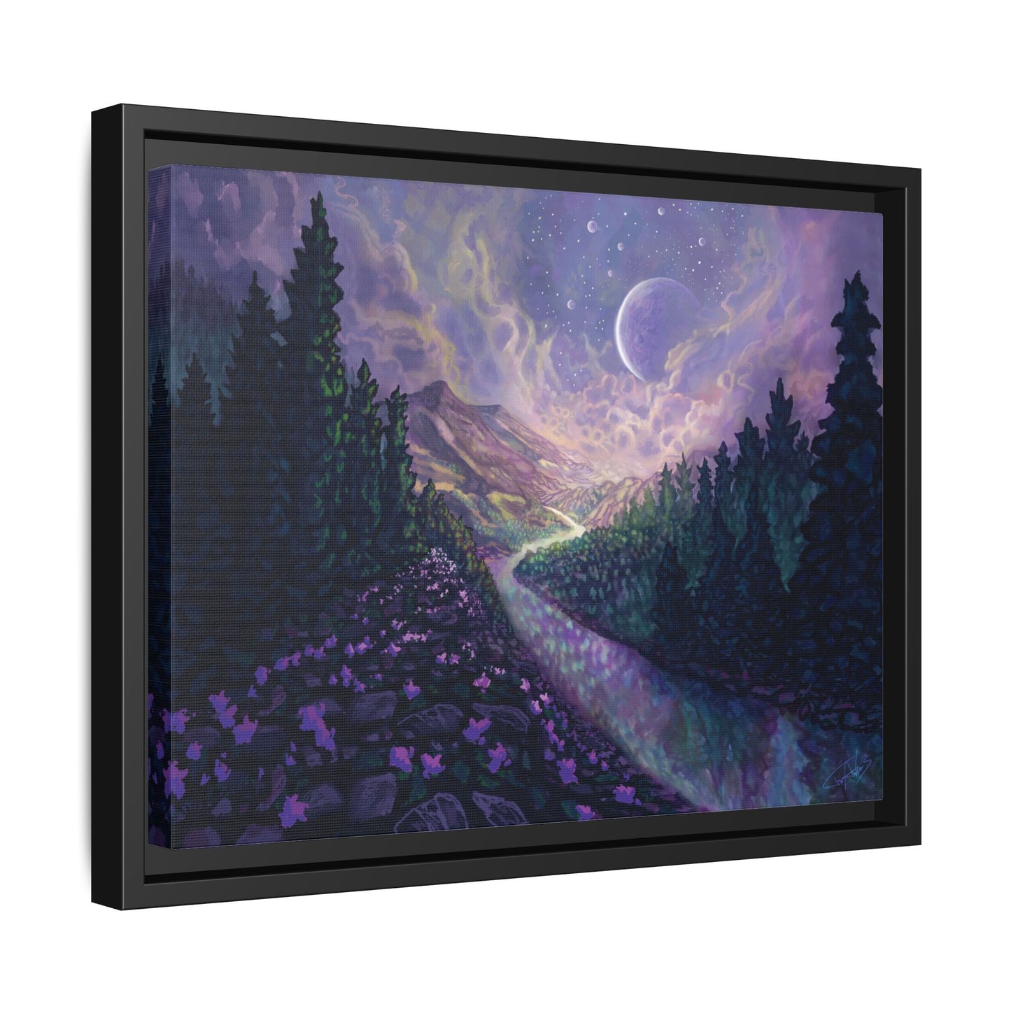 "Stella Nox" Framed canvas