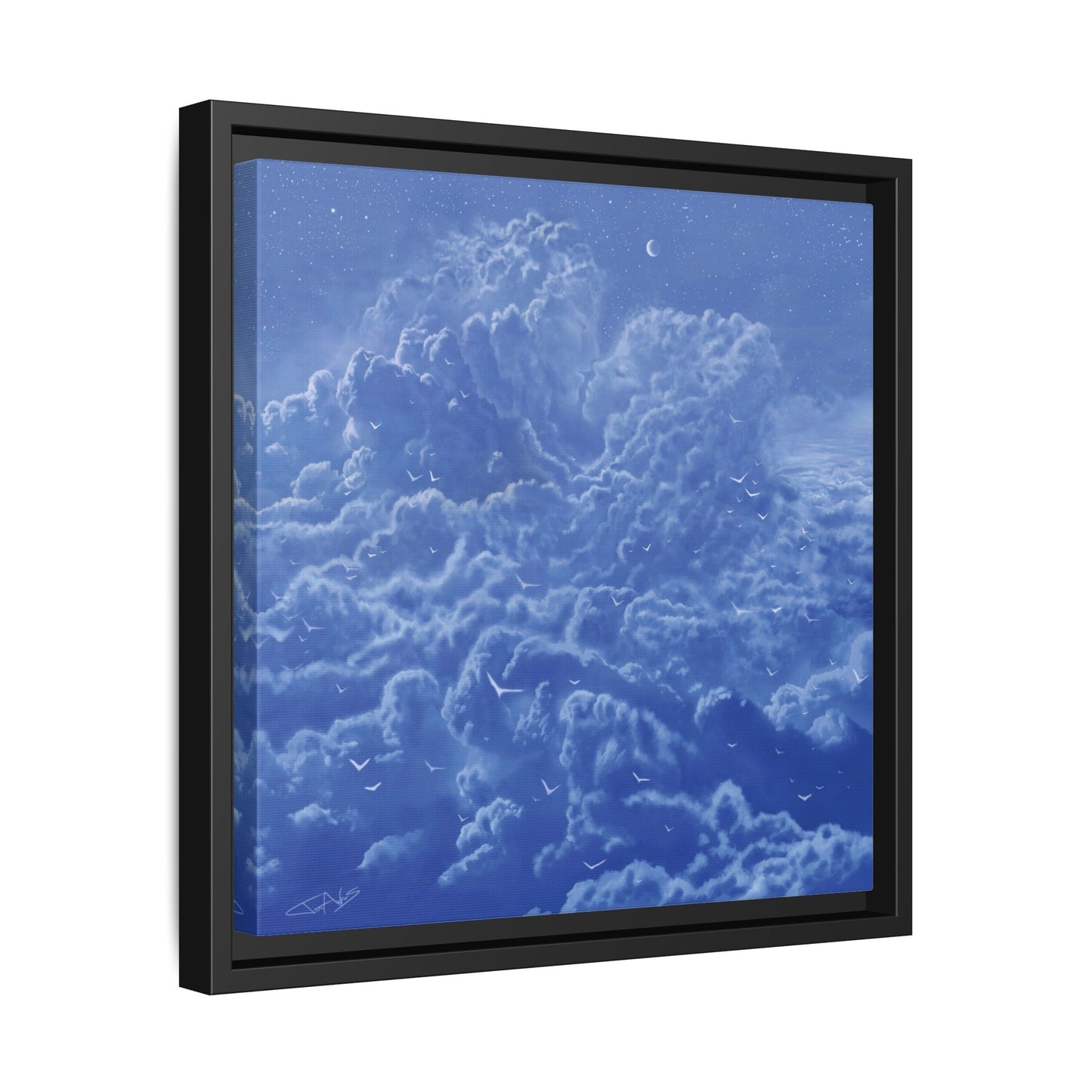 "Sky High" Framed canvas