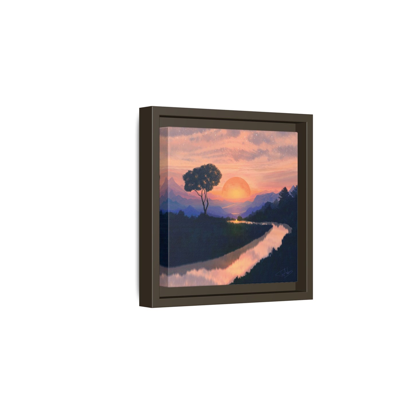 "Summer Sun" Framed canvas