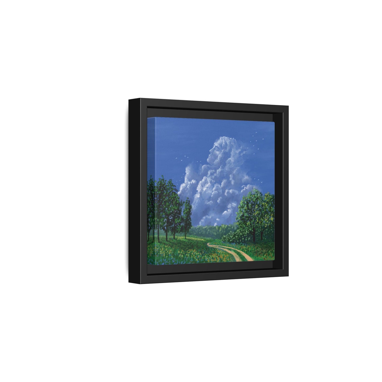 "Man in the Clouds" Framed canvas
